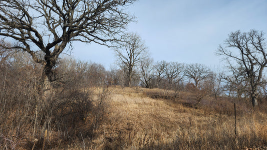 Red Wing, Mn eagerly awaiting morel mushroom and trout season. This nice weather is a tease! 