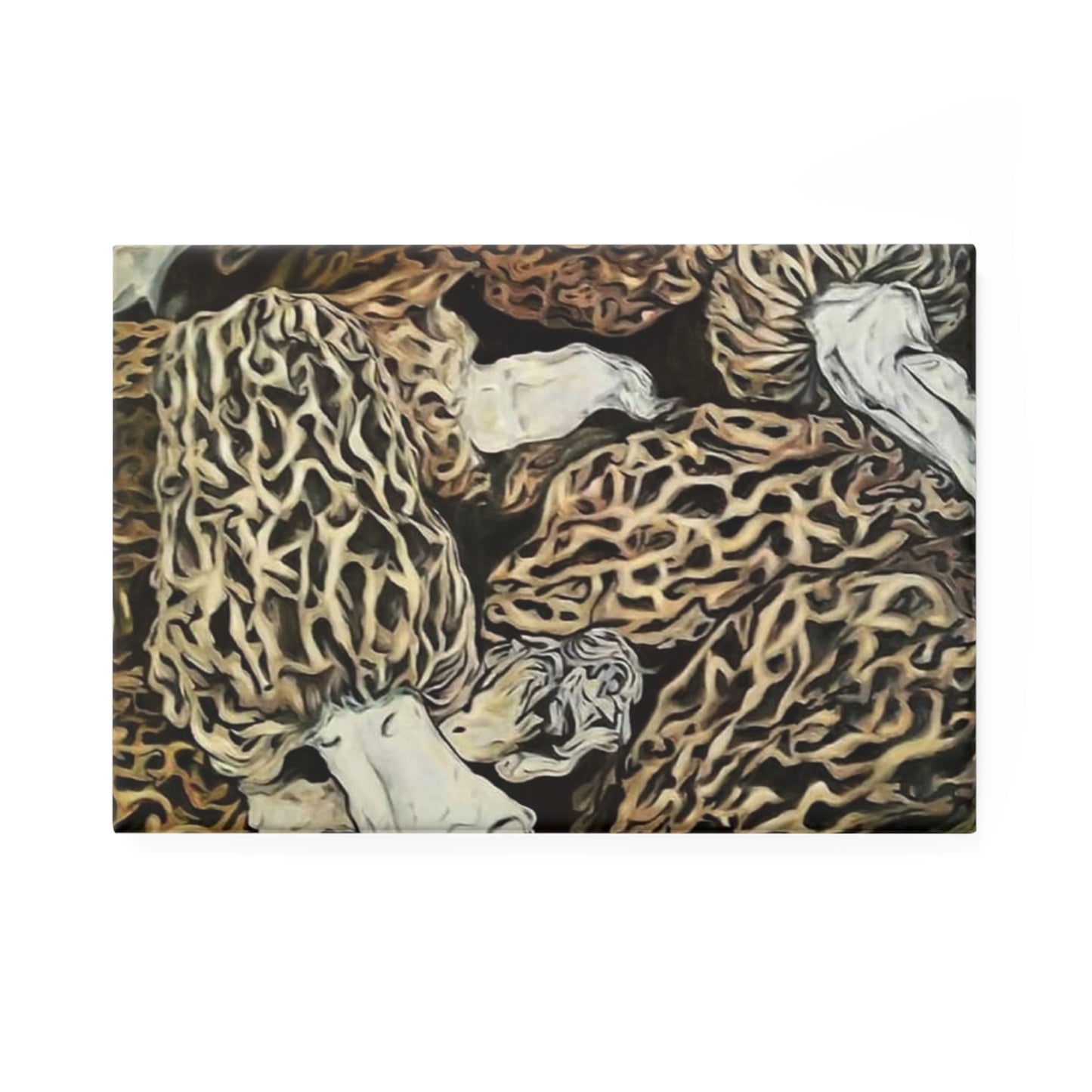 Morel mushroom Button Magnet (1 & 10 pcs)