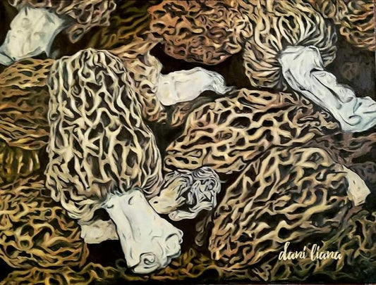 Morel Mushroom Canvas Giclee Print (in store)