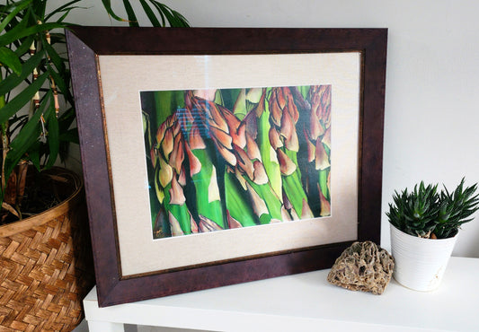 Asparagus, Framed Giclee Print